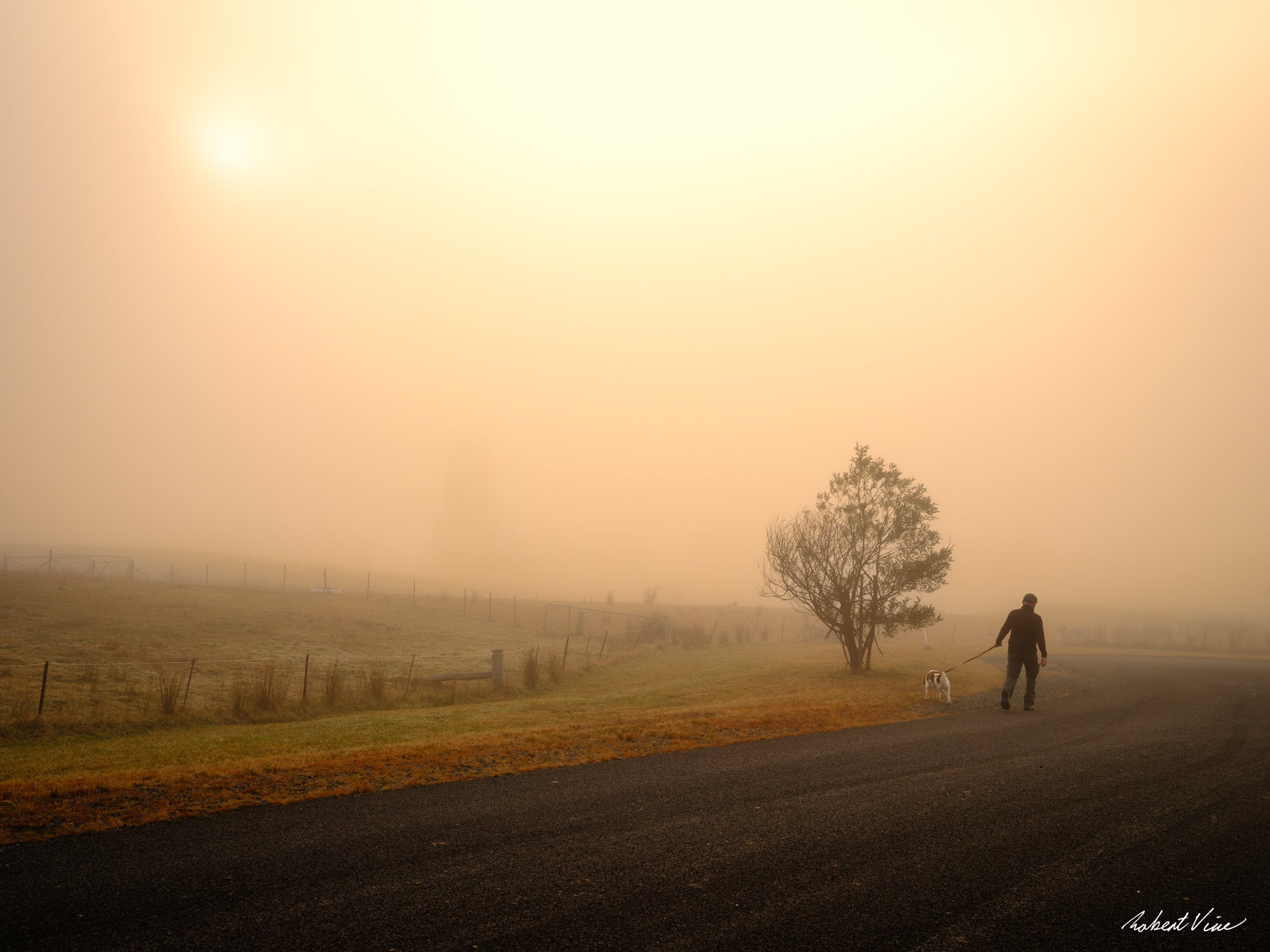 Man walking his dog along a country road through golden morning fog in Royalla, NSW, photographed by Robert Vine.