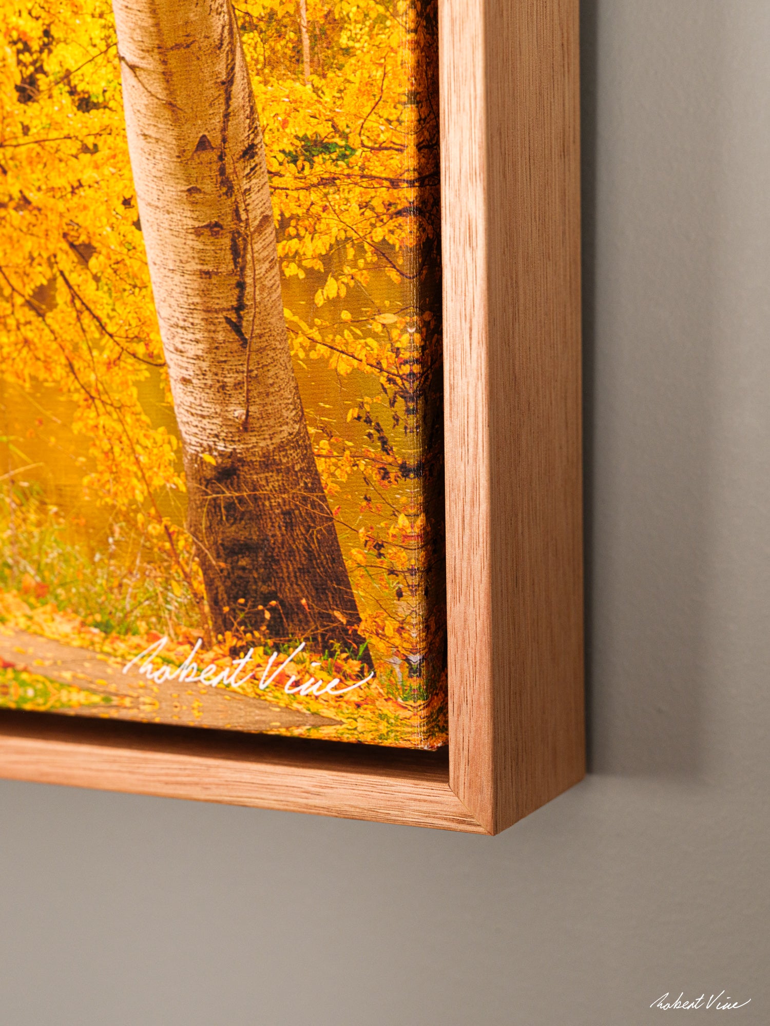 Close-up of a float frame canvas print by Robert Vine, highlighting the premium Tasmanian oak float frame, gallery-wrapped canvas edges, and museum-quality craftsmanship with a contemporary floating presentation.