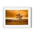 Framed print of a Lone eucalyptus tree beneath the brown smoke-filled sky of the 2020 bushfires in Googong, photographed by Robert Vine.