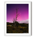 Framed landscape photograph of Aurora Australis glowing pink and purple behind a weathered dead tree in Googong, photographed at night by Robert Vine.