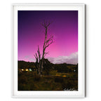 Framed landscape photograph of Aurora Australis glowing pink and purple behind a weathered dead tree in Googong, photographed at night by Robert Vine.