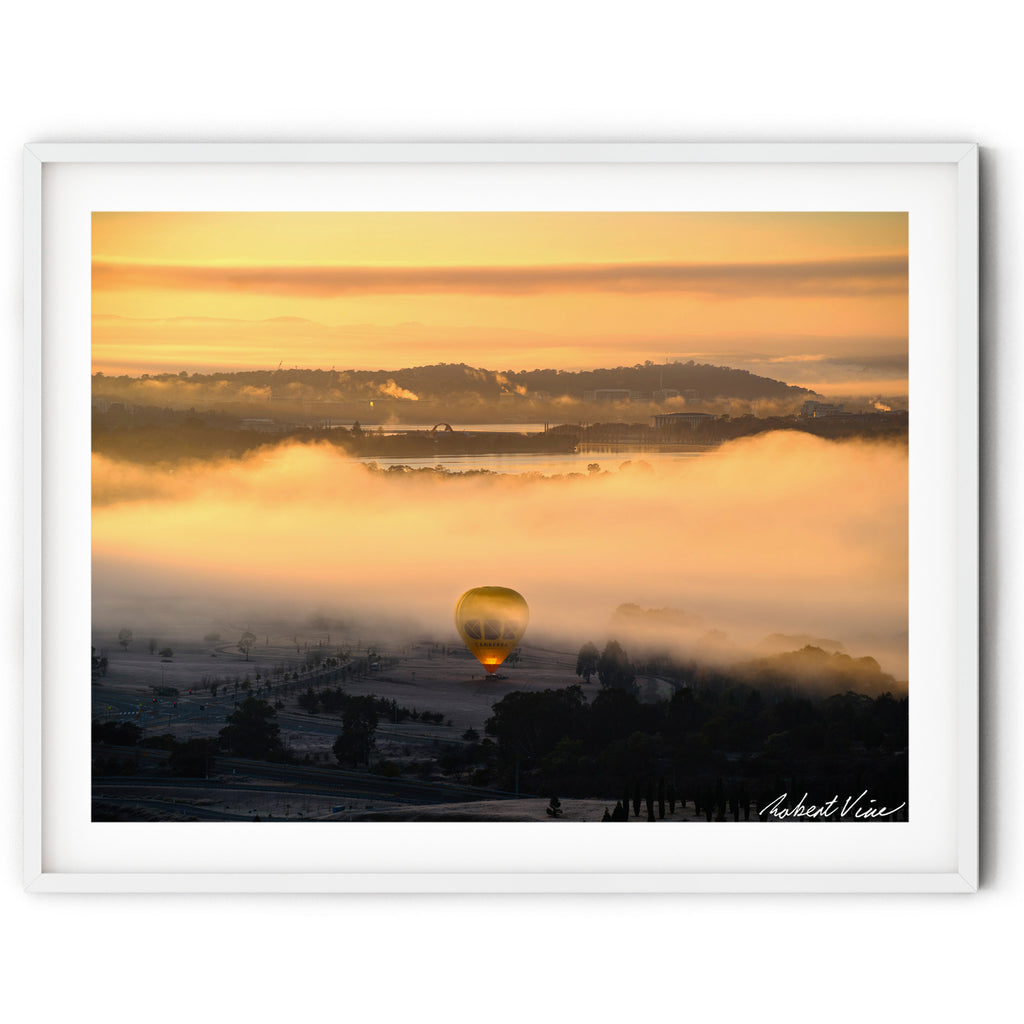 Framed print of Hot air balloon rising through golden morning mist at the National Arboretum Canberra during sunrise, photographed by Robert Vine.