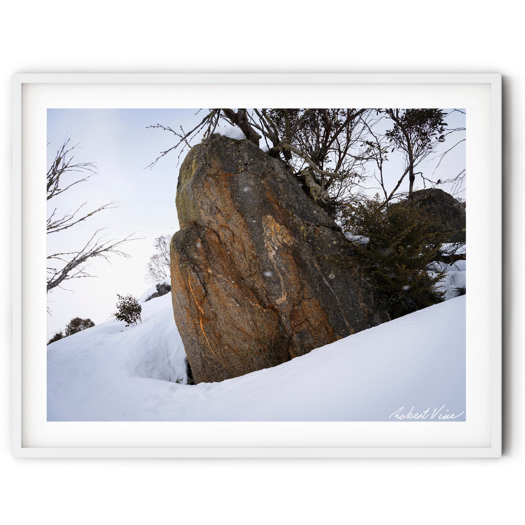 Framed Snow-covered granite boulder surrounded by alpine shrubs during gentle snowfall in Perisher, photographed by Australian landscape artist Robert Vine.
