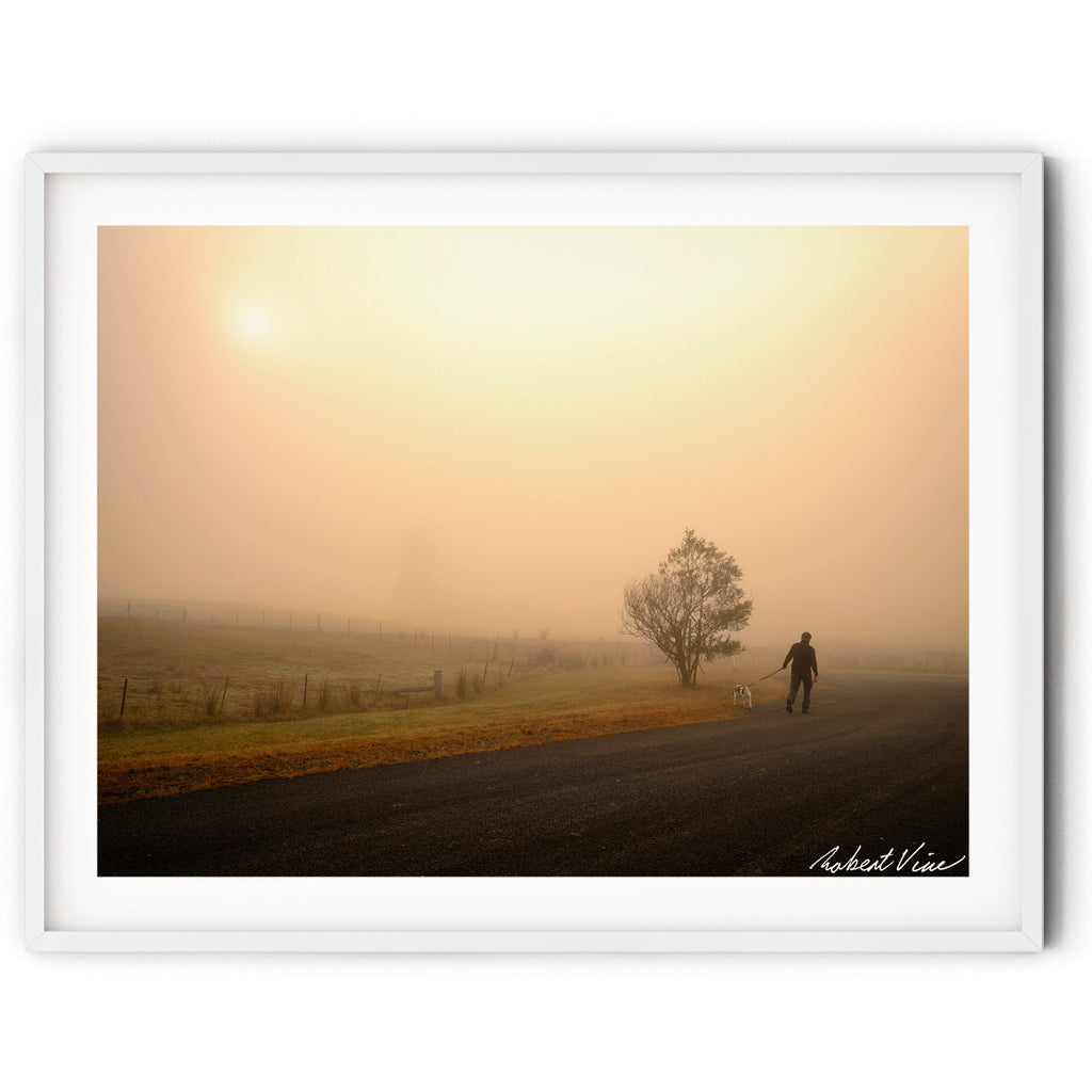 A framed print of a Man walking his dog along a country road through golden morning fog in Royalla, NSW, photographed by Robert Vine.