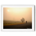 A framed print of a Man walking his dog along a country road through golden morning fog in Royalla, NSW, photographed by Robert Vine.