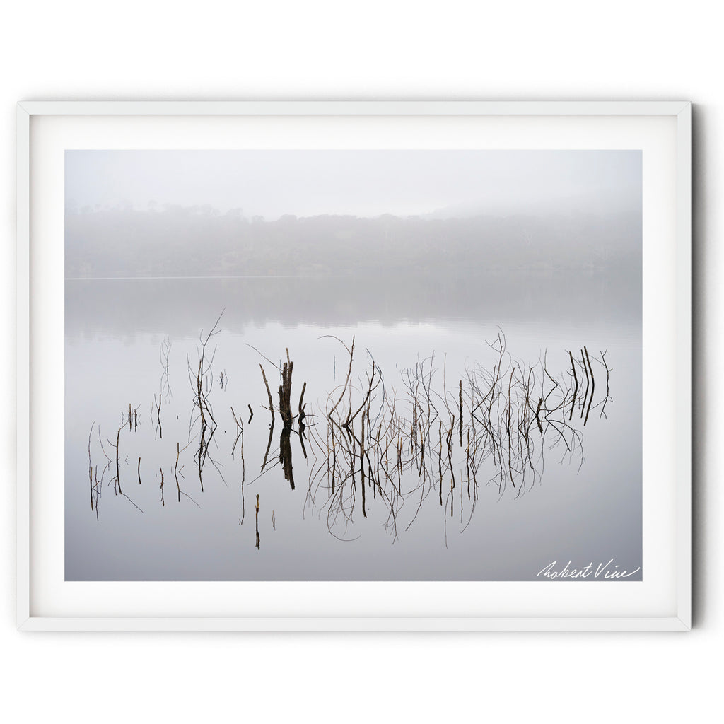 Framed print of a foggy winter morning at Googong Dam with submerged branches and grasses reflected in still water, photographed by Robert Vine.
