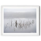 Framed print of a foggy winter morning at Googong Dam with submerged branches and grasses reflected in still water, photographed by Robert Vine.