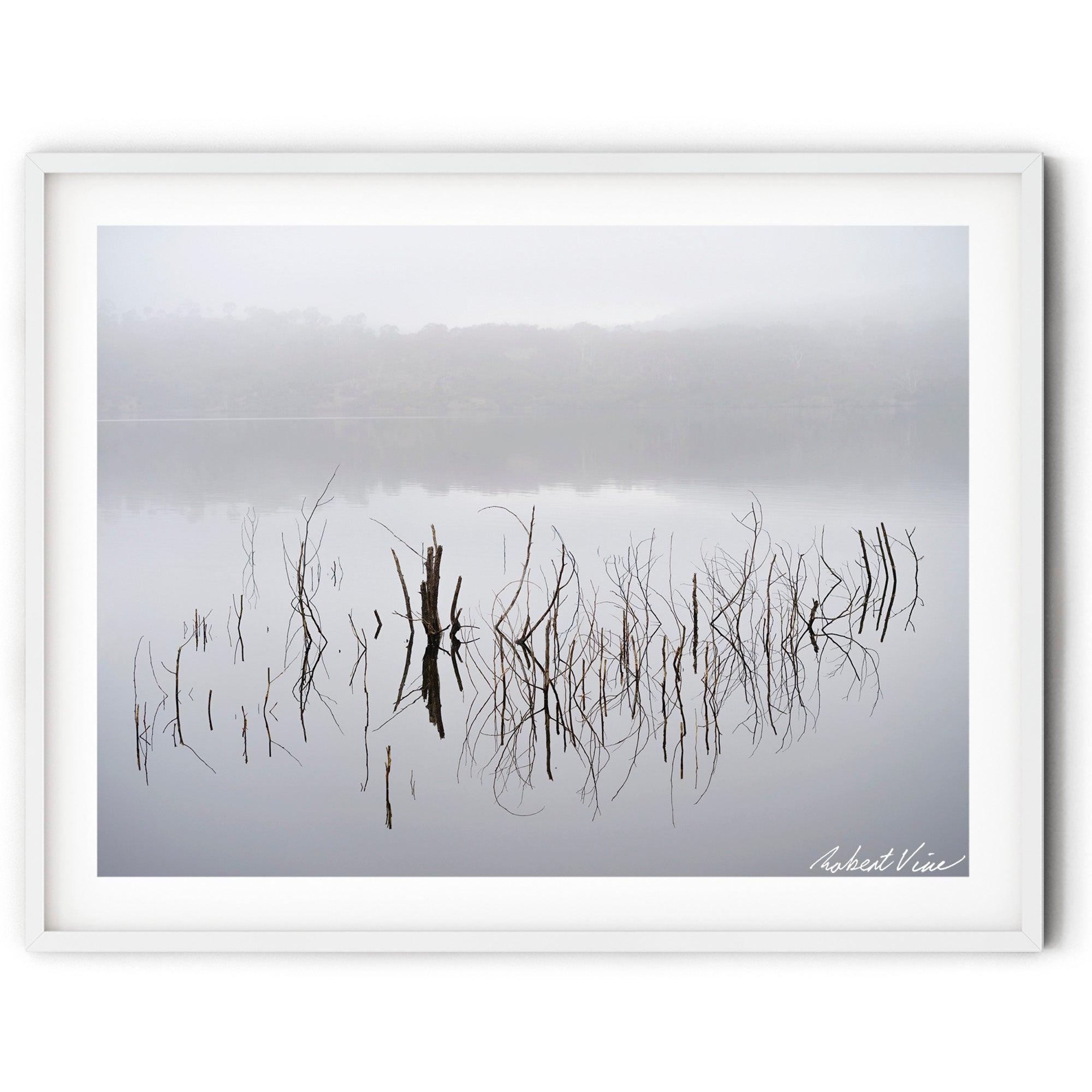 Framed print of a foggy winter morning at Googong Dam with submerged branches and grasses reflected in still water, photographed by Robert Vine.