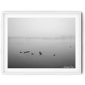 Framed Black and white photograph of ducks floating on a fog-covered Lake Burley Griffin in Canberra with a bridge fading into the morning mist.