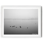 Framed Black and white photograph of ducks floating on a fog-covered Lake Burley Griffin in Canberra with a bridge fading into the morning mist.