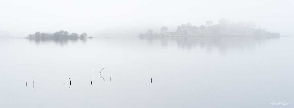 Minimalist winter landscape of grasses and branches emerging from the still waters of Googong Dam on a foggy morning by Robert Vine.