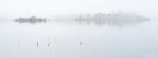 Minimalist winter landscape of grasses and branches emerging from the still waters of Googong Dam on a foggy morning by Robert Vine.