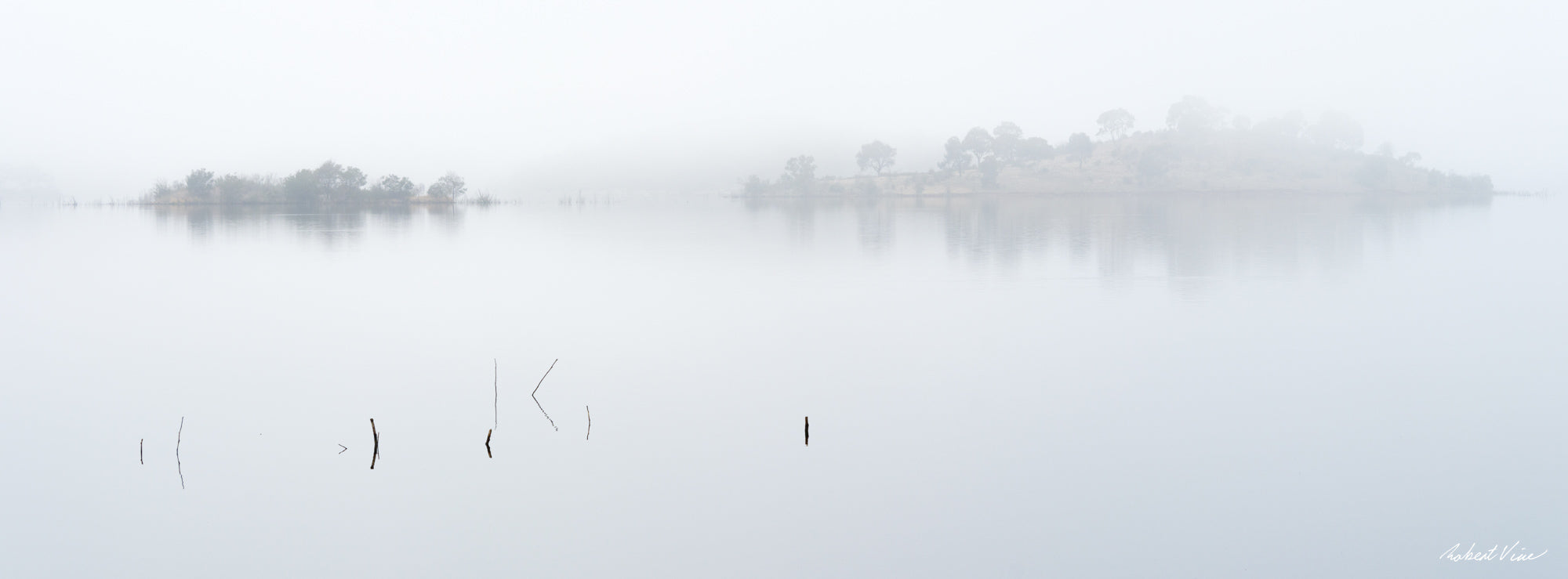 Minimalist winter landscape of grasses and branches emerging from the still waters of Googong Dam on a foggy morning by Robert Vine.